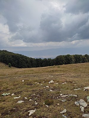 Натиснете снимката за да я уголемите  Име:IMG_20220813_122922.jpg Прегледи:0 Размер:742.4 КБ ID:6885606