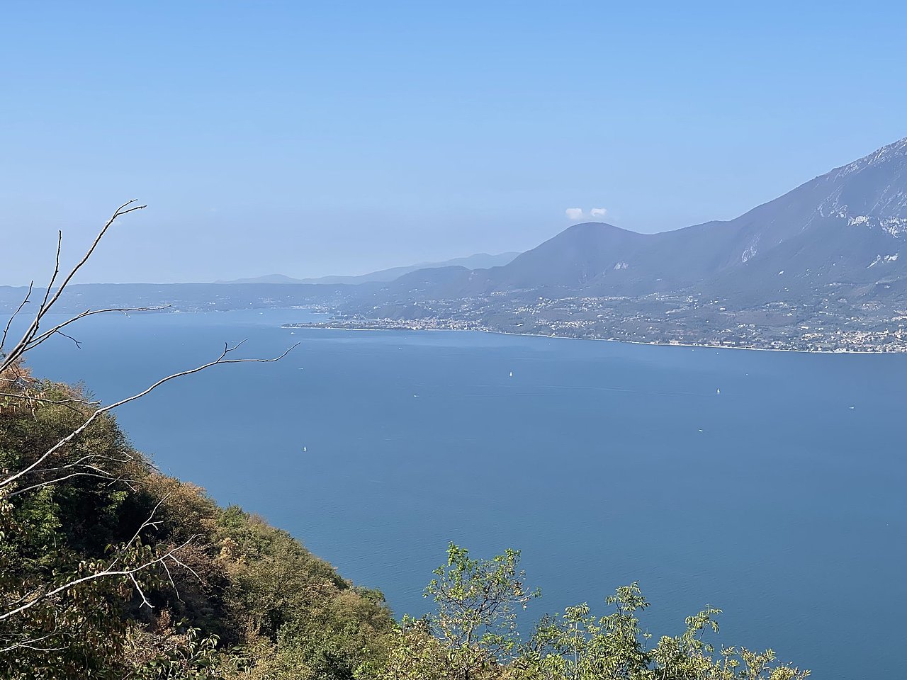 Натиснете снимката за да я уголемите

Име:2D88893E-82C1-4635-8885-19F7D681B5DF.jpeg
Прегледи:842
Размер:396.0 КБ
ID:6885875