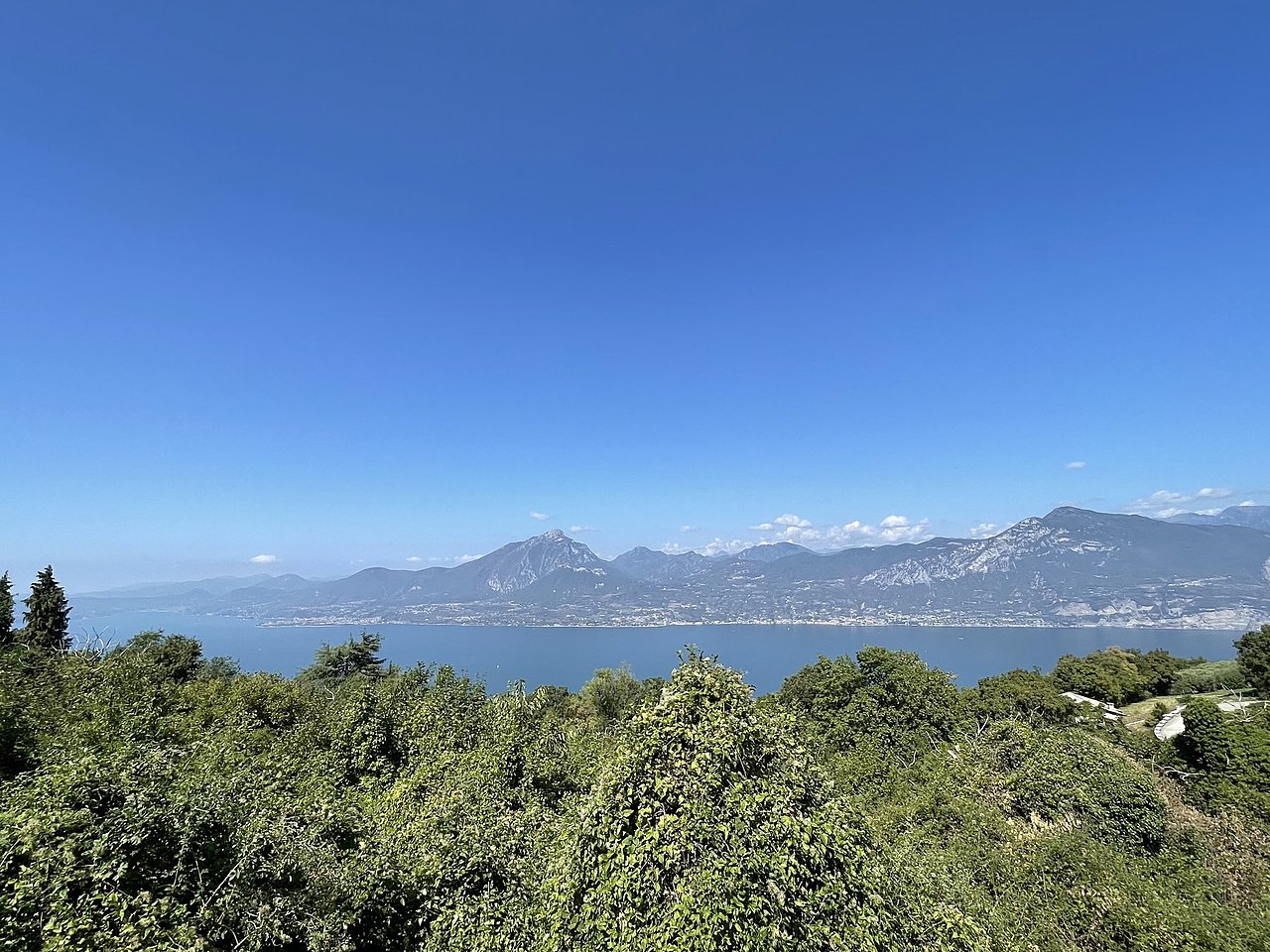 Натиснете снимката за да я уголемите

Име:DC96E756-868E-48C3-BC21-639CE63FA2AC.jpeg
Прегледи:849
Размер:618.4 КБ
ID:6885876