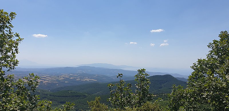 Натиснете снимката за да я уголемите  Име:20220721_115726.jpg Прегледи:0 Размер:345.1 КБ ID:6889280