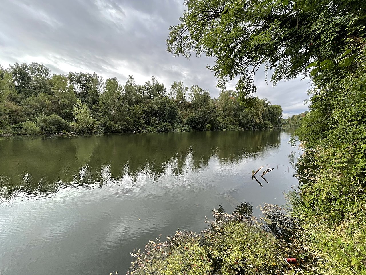 Натиснете снимката за да я уголемите  Име:D7F447A8-CAB4-4982-9C3D-6C7C89DC700F.jpeg Прегледи:7 Размер:914.7 КБ ID:6889696