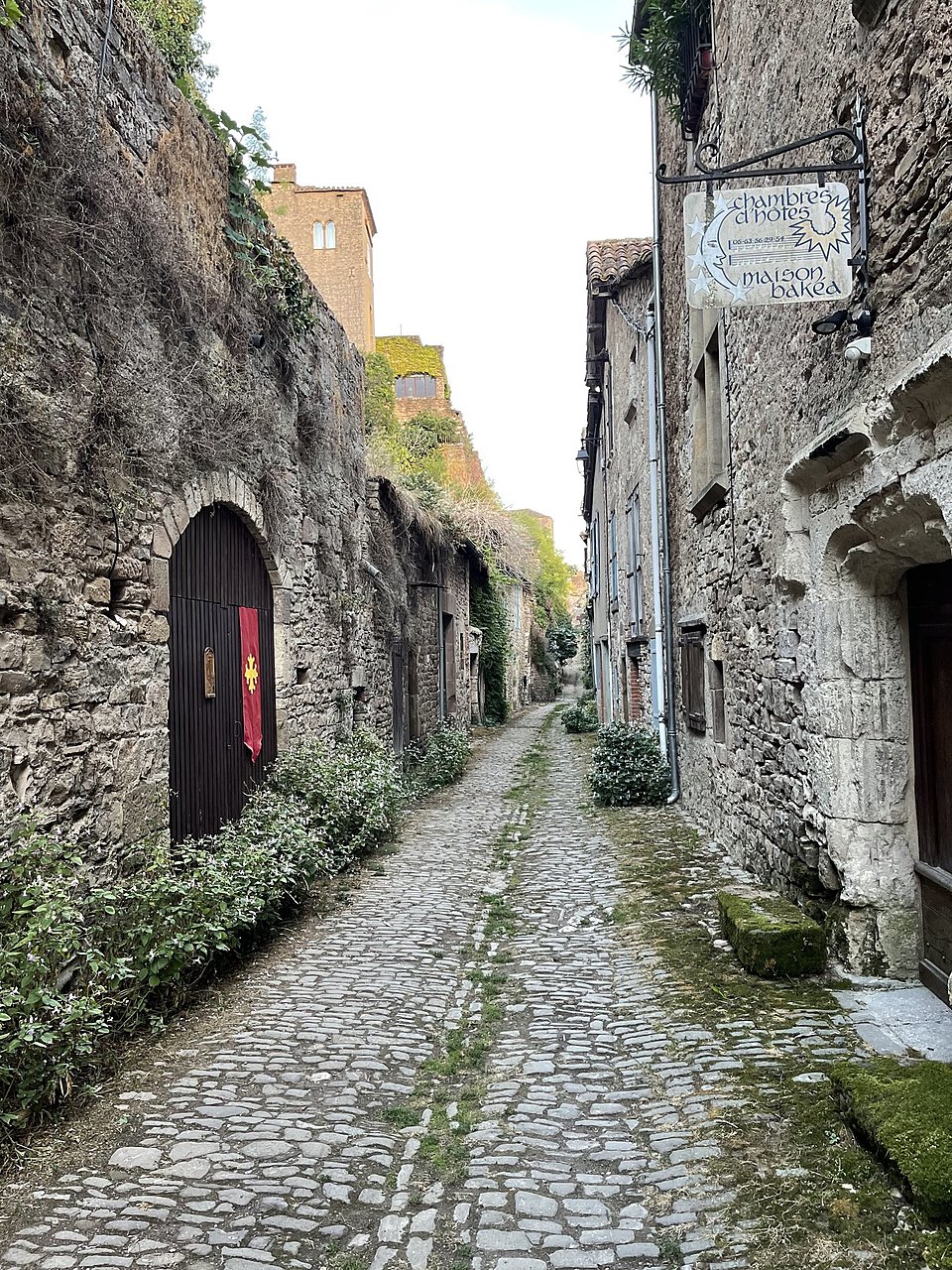 Натиснете снимката за да я уголемите

Име:9FEB689A-6515-49A7-B77B-B9082A37A391.jpeg
Прегледи:613
Размер:1.13 МБ
ID:6889838