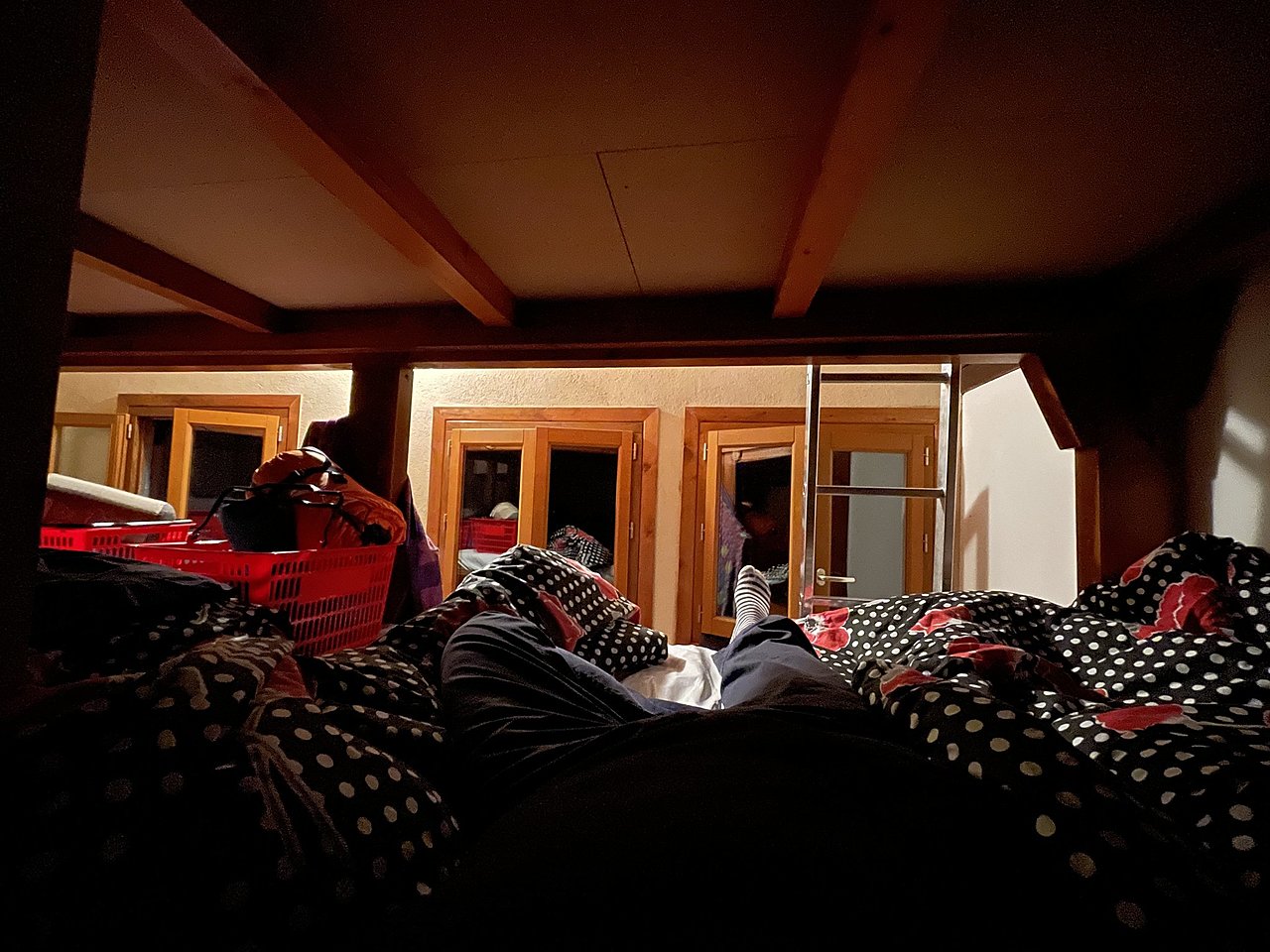 Натиснете снимката за да я уголемите  Име:F02F62AE-18D4-44CD-AEB9-5F66EA1A5A31.jpeg Прегледи:0 Размер:439.9 КБ ID:6890029