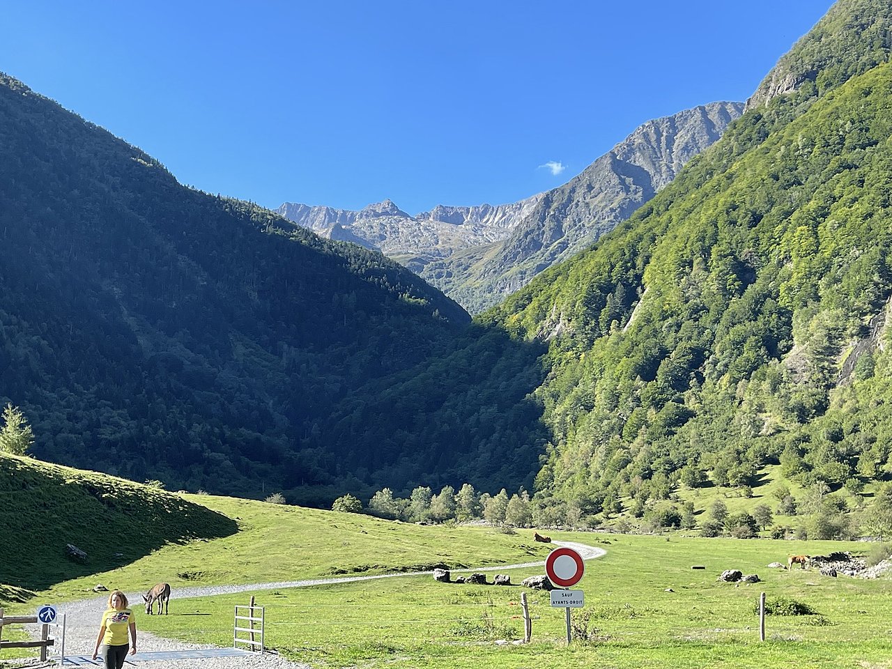 Натиснете снимката за да я уголемите  Име:241CFA04-3656-4FB5-A11E-74D3554B0556.jpeg Прегледи:0 Размер:679.5 КБ ID:6890034