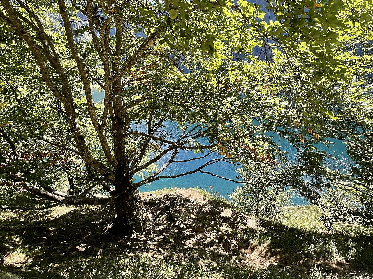 Натиснете снимката за да я уголемите

Име:image_928826.jpg
Прегледи:550
Размер:1.38 МБ
ID:6890040