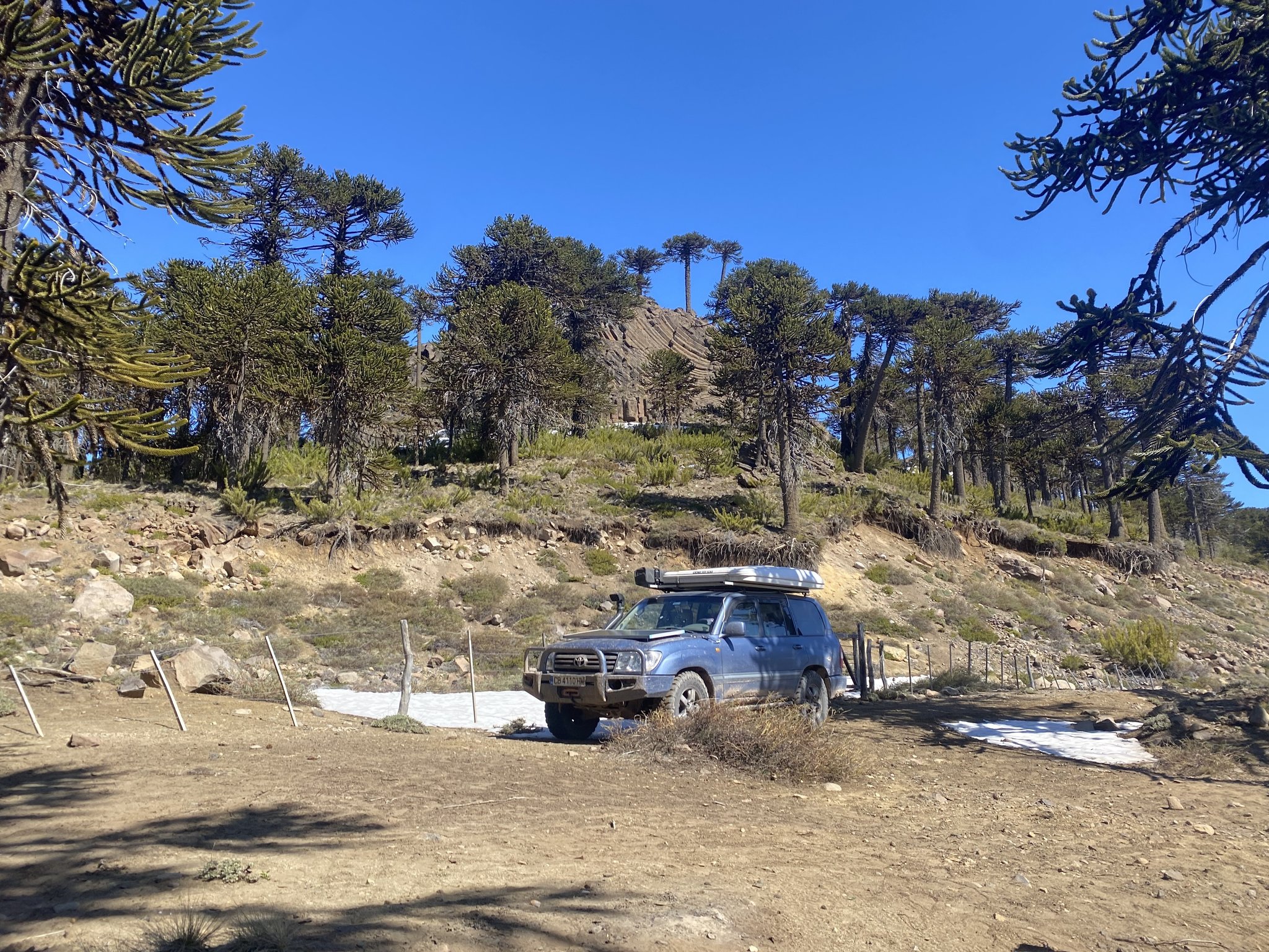 Натиснете снимката за да я уголемите

Име:IMG_6236.jpeg
Прегледи:1871
Размер:978.5 КБ
ID:6890208