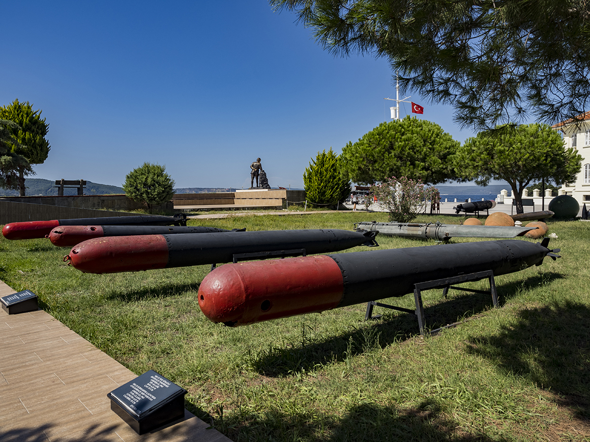 Натиснете снимката за да я уголемите  Име:P9100051.jpg Прегледи:0 Размер:1.15 МБ ID:6891232