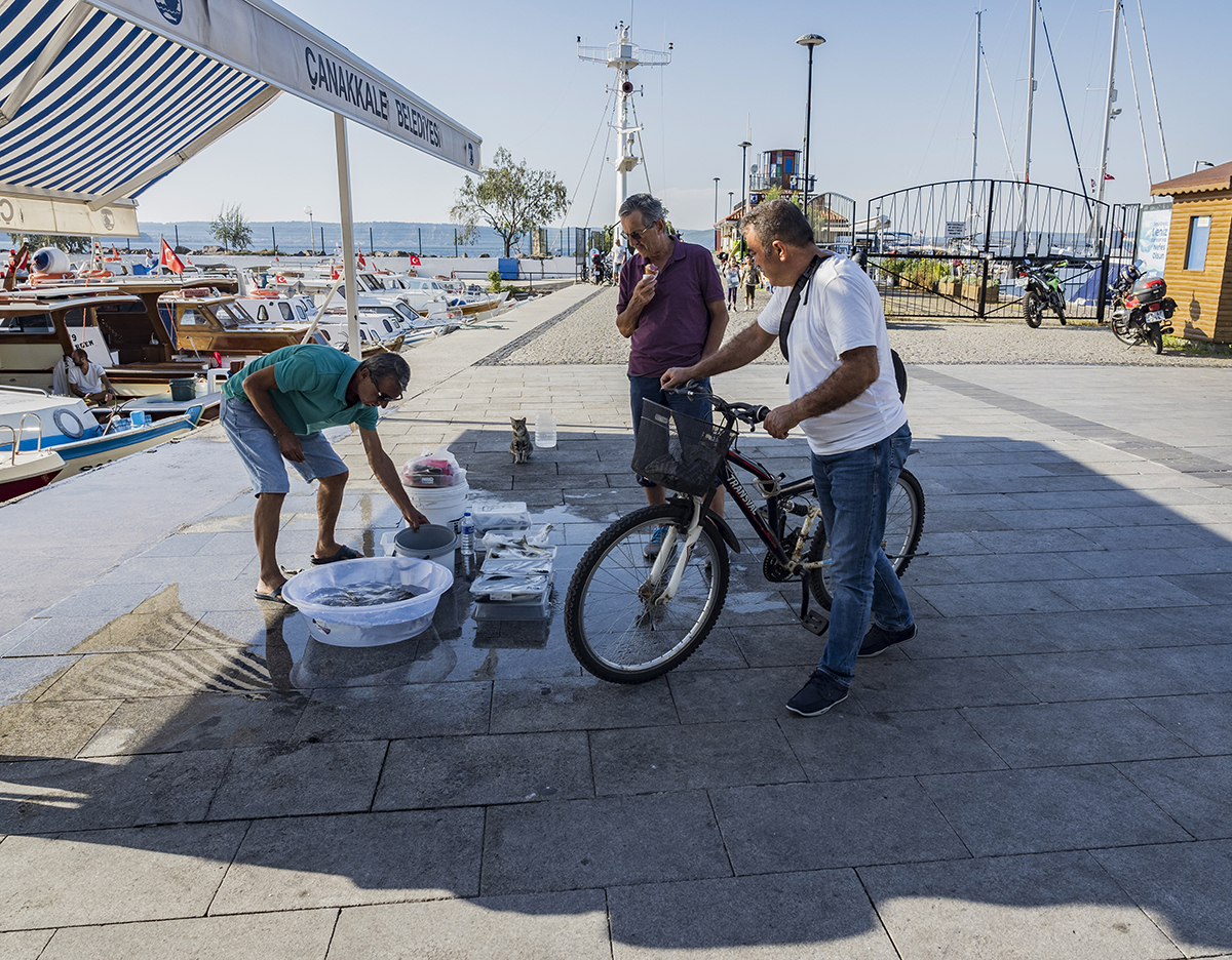 Натиснете снимката за да я уголемите  Име:P9100221.jpg Прегледи:0 Размер:1.08 МБ ID:6891279