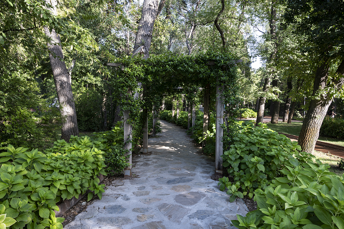 Натиснете снимката за да я уголемите  Име:DSC_2862.jpg Прегледи:0 Размер:1.43 МБ ID:6891284