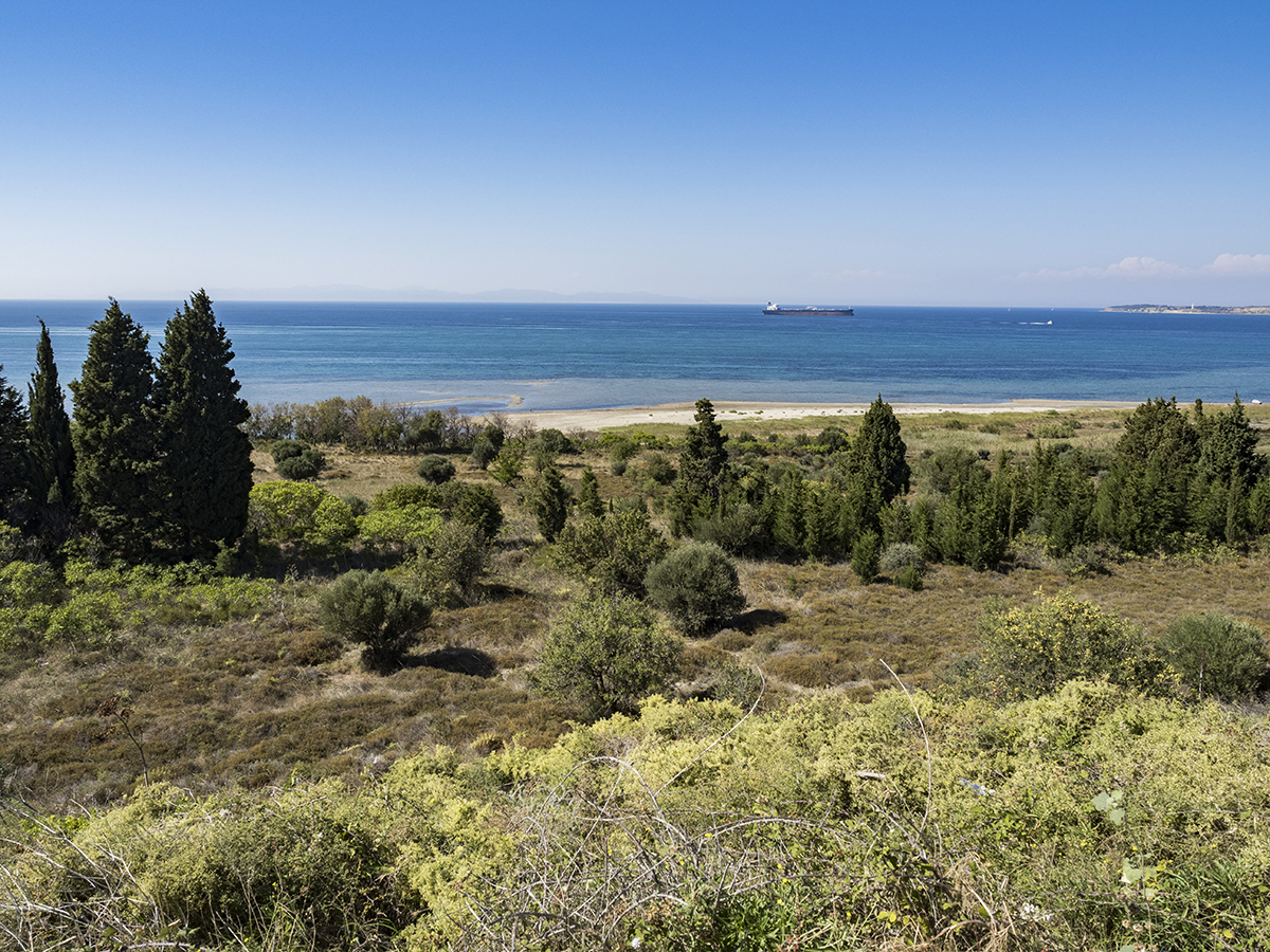 Натиснете снимката за да я уголемите  Име:P9110381.jpg Прегледи:0 Размер:1.18 МБ ID:6891335