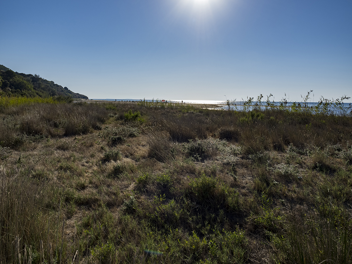 Натиснете снимката за да я уголемите  Име:P9110385.jpg Прегледи:0 Размер:976.1 КБ ID:6891336