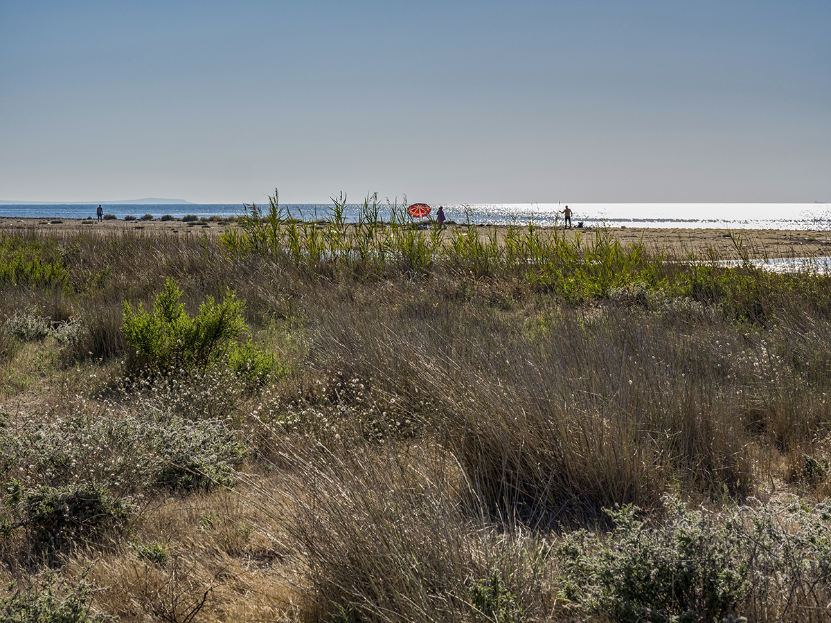 Натиснете снимката за да я уголемите  Име:P9110386.jpg Прегледи:0 Размер:1.14 МБ ID:6891337