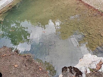 Натиснете снимката за да я уголемите

Име:IMG_20220922_173243.jpg
Прегледи:581
Размер:861.9 КБ
ID:6892448