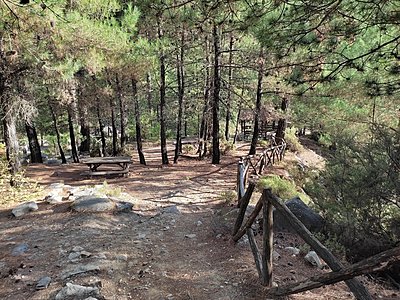 Натиснете снимката за да я уголемите

Име:IMG_20220922_171905.jpg
Прегледи:577
Размер:1.38 МБ
ID:6892453