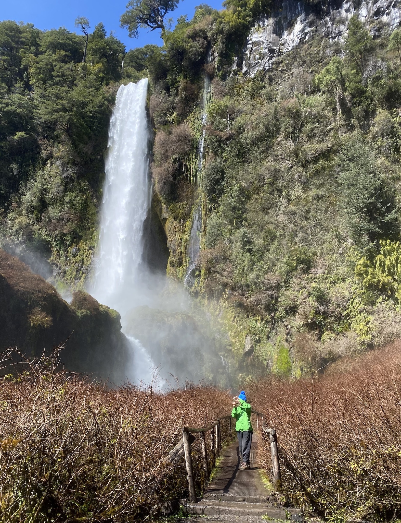 Натиснете снимката за да я уголемите

Име:IMG_6647.jpeg
Прегледи:1536
Размер:1.59 МБ
ID:6892565