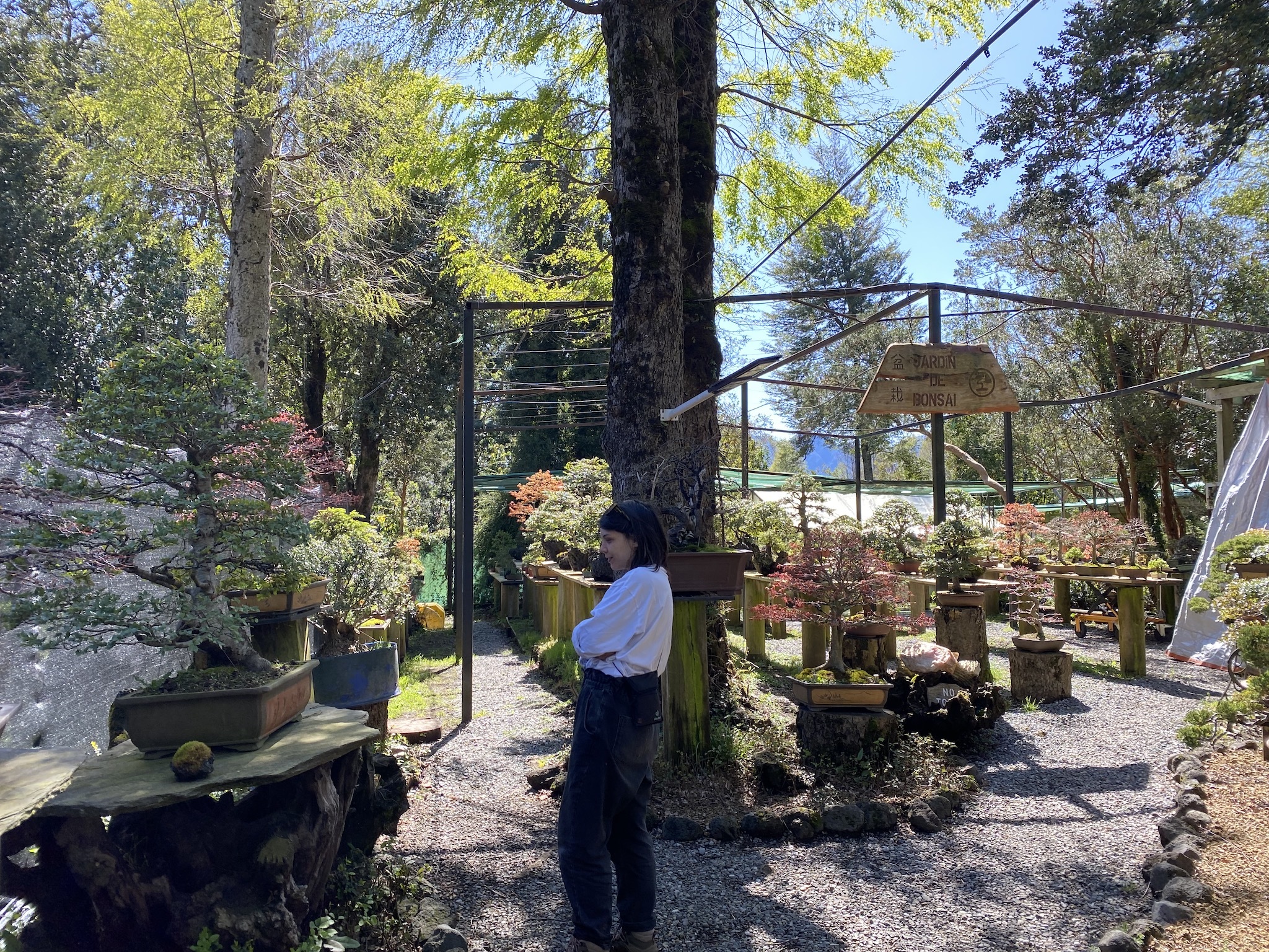 Натиснете снимката за да я уголемите

Име:IMG_6665.jpeg
Прегледи:1538
Размер:1.77 МБ
ID:6892566