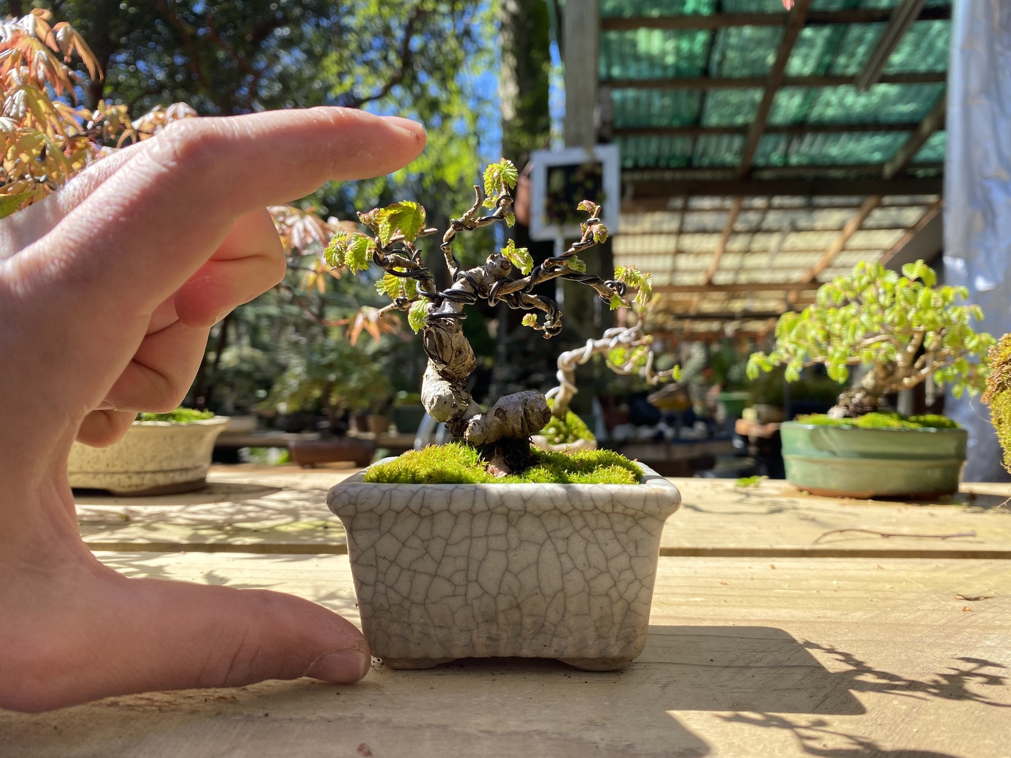 Натиснете снимката за да я уголемите

Име:IMG_6667.jpeg
Прегледи:1503
Размер:717.5 КБ
ID:6892567