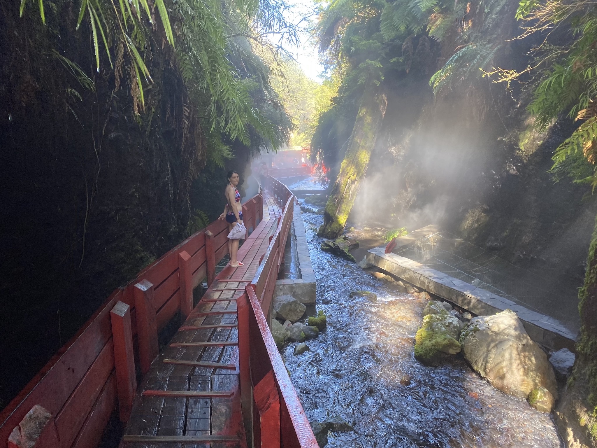 Натиснете снимката за да я уголемите

Име:IMG_6802 2.jpeg
Прегледи:1093
Размер:1.18 МБ
ID:6893971