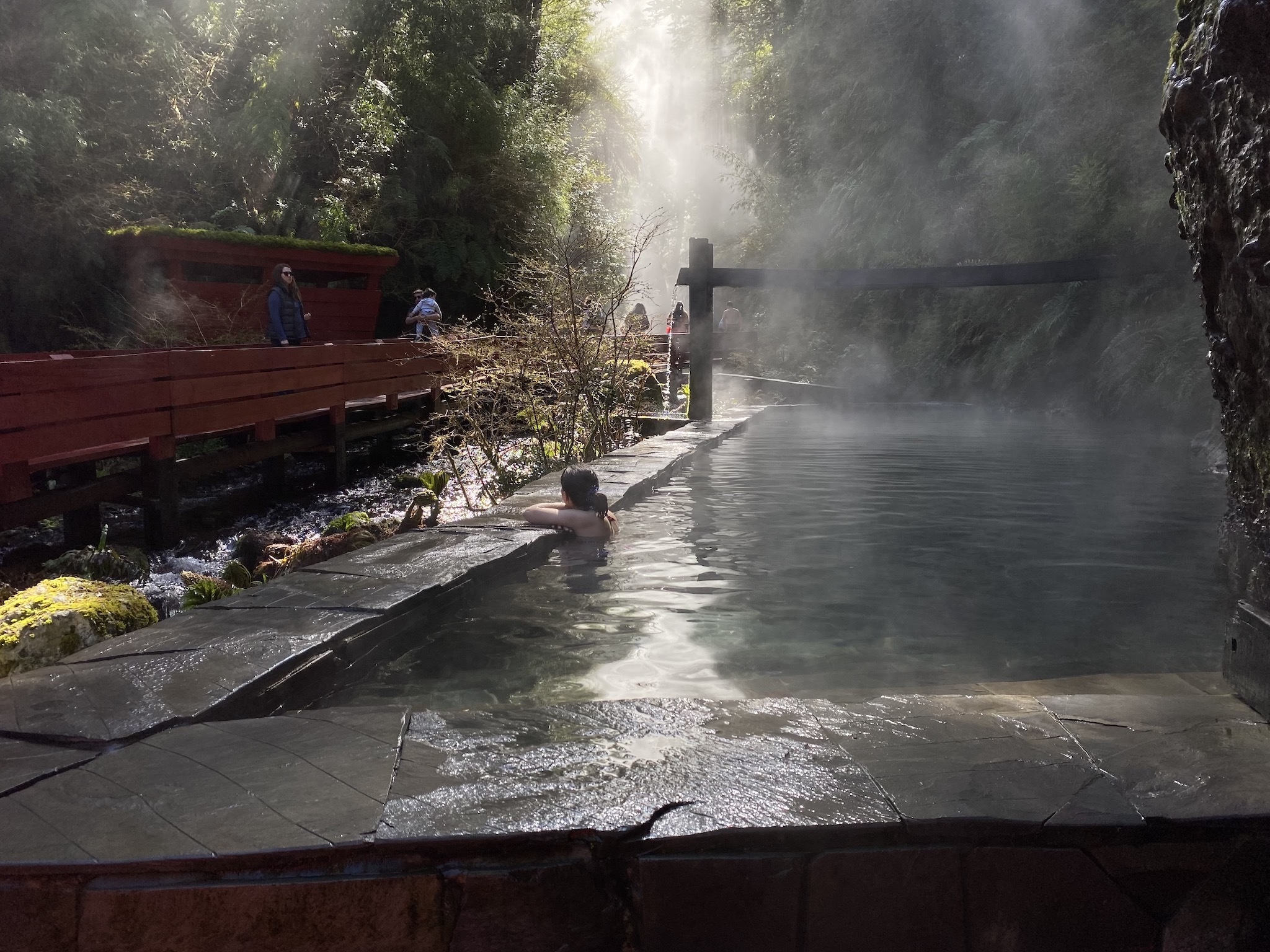 Натиснете снимката за да я уголемите

Име:IMG_6831 2.jpeg
Прегледи:1070
Размер:906.0 КБ
ID:6893972