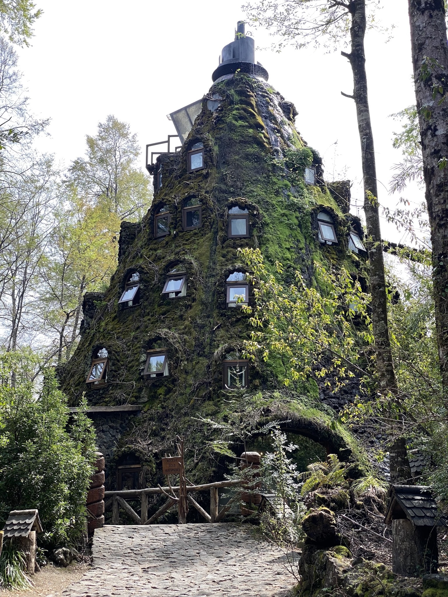 Натиснете снимката за да я уголемите

Име:IMG_6909.jpeg
Прегледи:1064
Размер:1.59 МБ
ID:6893977