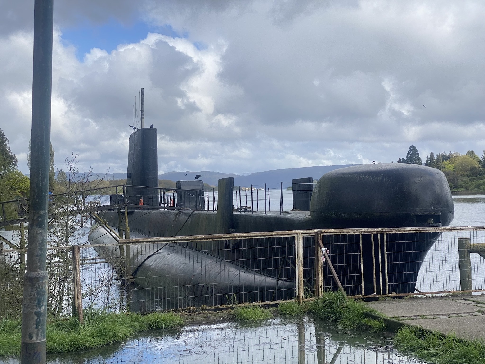 Натиснете снимката за да я уголемите

Име:IMG_6996.jpeg
Прегледи:1050
Размер:903.9 КБ
ID:6893978