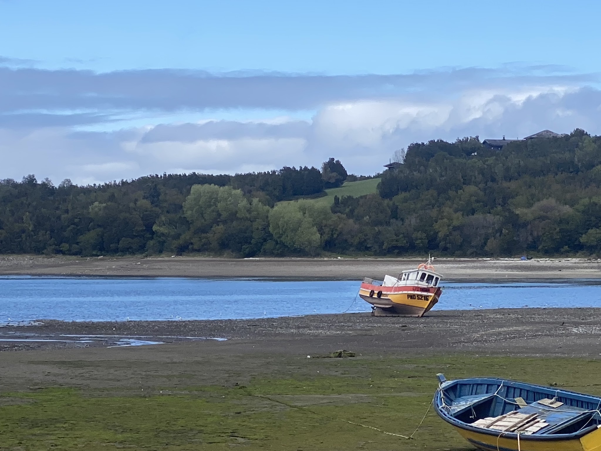 Натиснете снимката за да я уголемите

Име:IMG_7185.jpeg
Прегледи:1050
Размер:607.3 КБ
ID:6893981