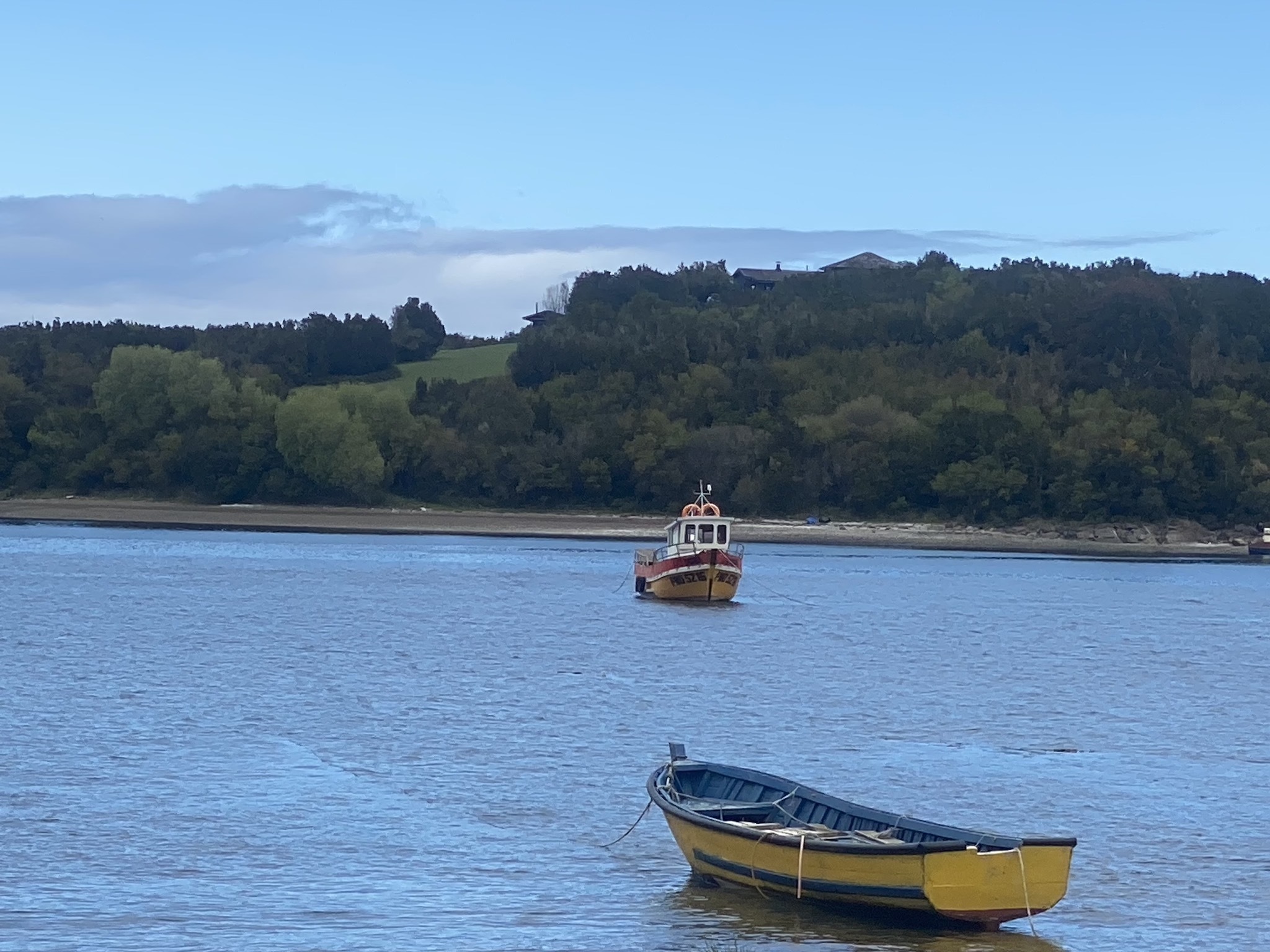 Натиснете снимката за да я уголемите

Име:IMG_7191.jpeg
Прегледи:1041
Размер:596.7 КБ
ID:6893982