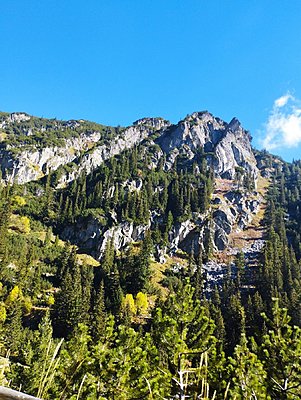 Натиснете снимката за да я уголемите

Име:IMG-529120ab4e8dc0ddeca7c32b79fe9e71-V.jpg
Прегледи:522
Размер:615.6 КБ
ID:6894628