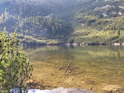 Натиснете снимката за да я уголемите

Име:IMG_20221016_144822.jpg
Прегледи:536
Размер:1,013.5 КБ
ID:6894634