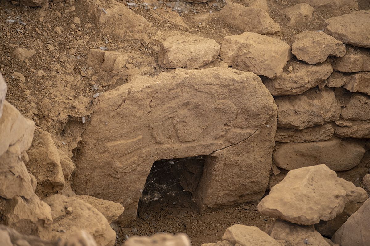 Натиснете снимката за да я уголемите  Име:DSC_3156.jpg Прегледи:0 Размер:1,011.5 КБ ID:6894968