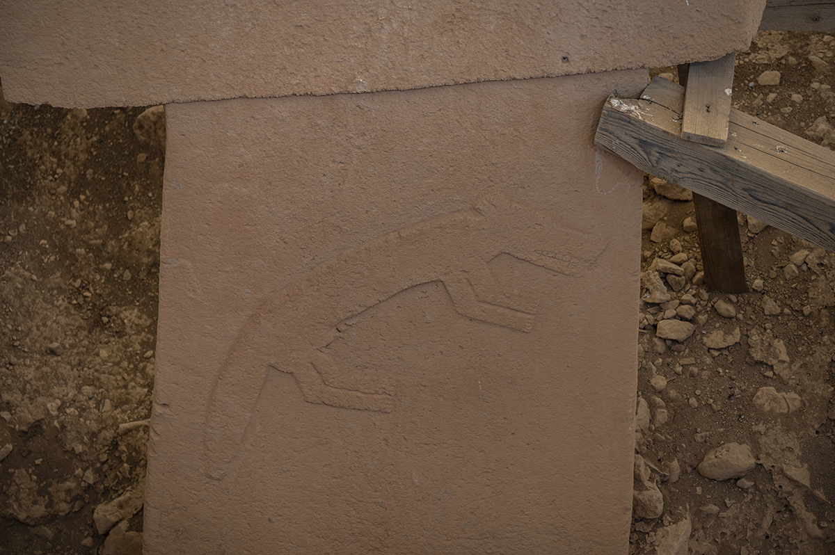 Натиснете снимката за да я уголемите  Име:DSC_3153.jpg Прегледи:0 Размер:811.6 КБ ID:6894969