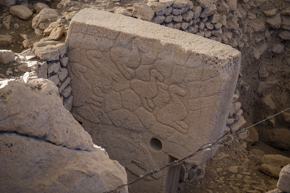 Натиснете снимката за да я уголемите  Име:DSC_3173.jpg Прегледи:0 Размер:830.9 КБ ID:6894970