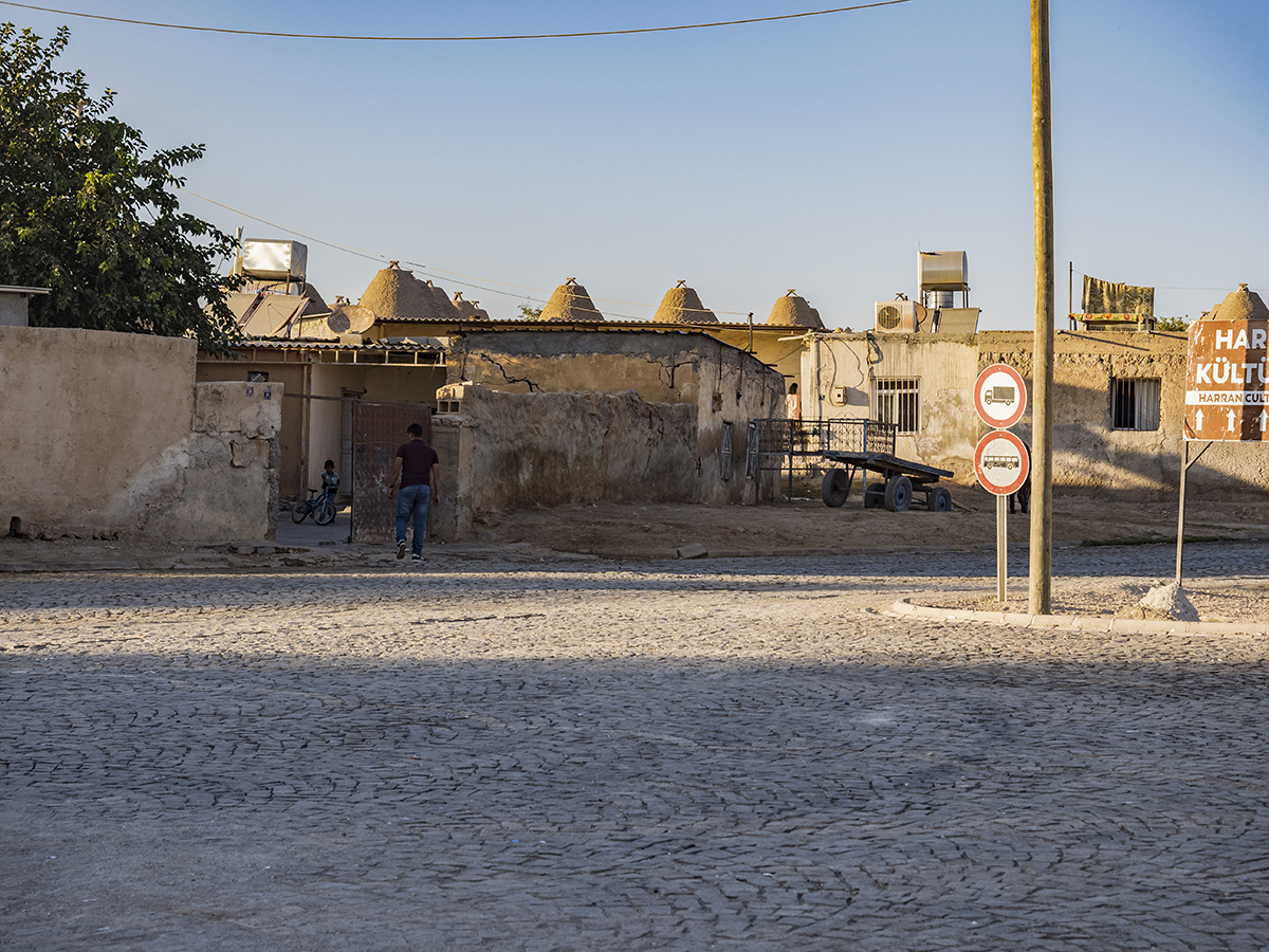 Натиснете снимката за да я уголемите

Име:PA100344.jpg
Прегледи:156
Размер:1,002.8 КБ
ID:6894990