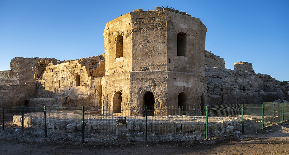 Натиснете снимката за да я уголемите

Име:DSC_3187.jpg
Прегледи:155
Размер:795.9 КБ
ID:6894996