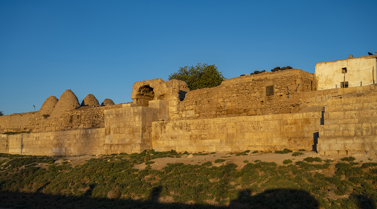 Натиснете снимката за да я уголемите

Име:DSC_3191.jpg
Прегледи:147
Размер:751.3 КБ
ID:6894999