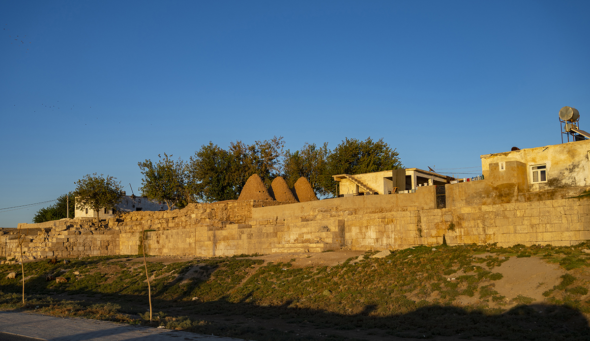 Натиснете снимката за да я уголемите

Име:DSC_3192.jpg
Прегледи:154
Размер:740.6 КБ
ID:6895000