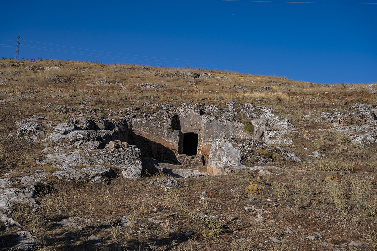 Натиснете снимката за да я уголемите  Име:DSC_3200.jpg Прегледи:0 Размер:1.12 МБ ID:6895008