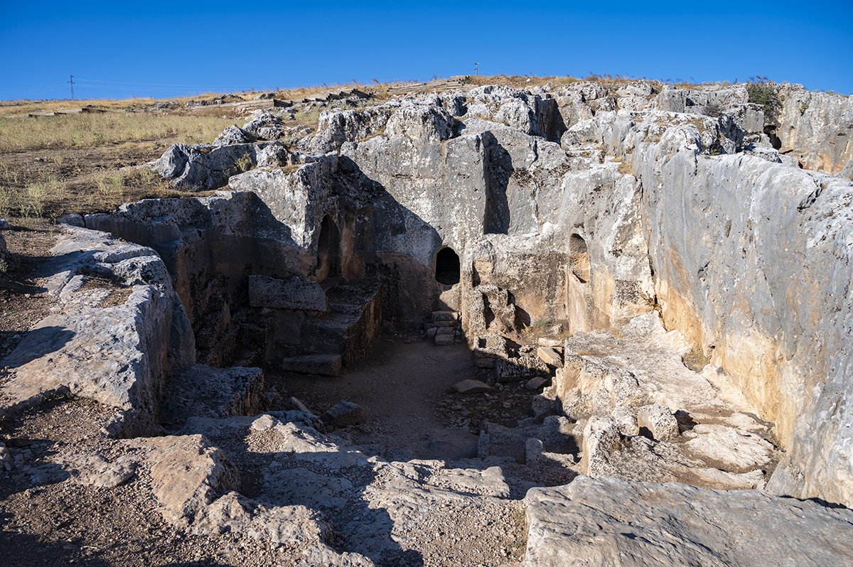 Натиснете снимката за да я уголемите  Име:DSC_3201.jpg Прегледи:0 Размер:1.20 МБ ID:6895009
