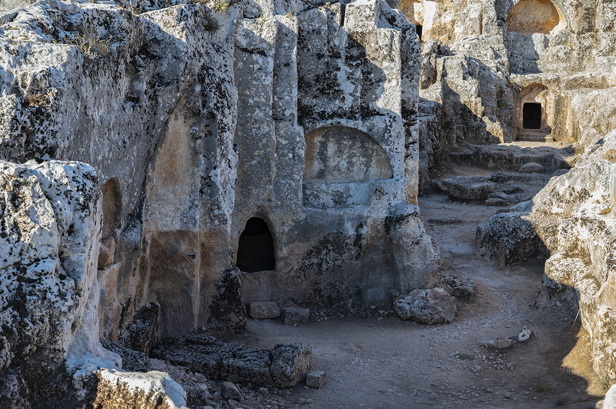 Натиснете снимката за да я уголемите  Име:DSC_3203.jpg Прегледи:0 Размер:1.29 МБ ID:6895010