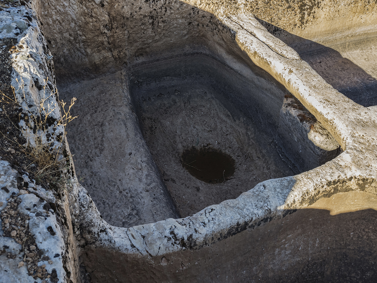 Натиснете снимката за да я уголемите  Име:PA110417.jpg Прегледи:0 Размер:1.06 МБ ID:6895020