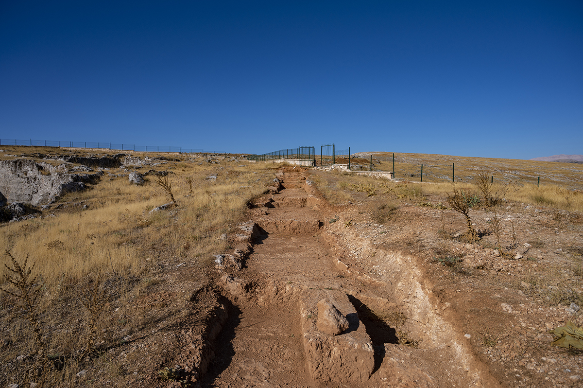 Натиснете снимката за да я уголемите  Име:DSC_3234.jpg Прегледи:0 Размер:1,000.3 КБ ID:6895021