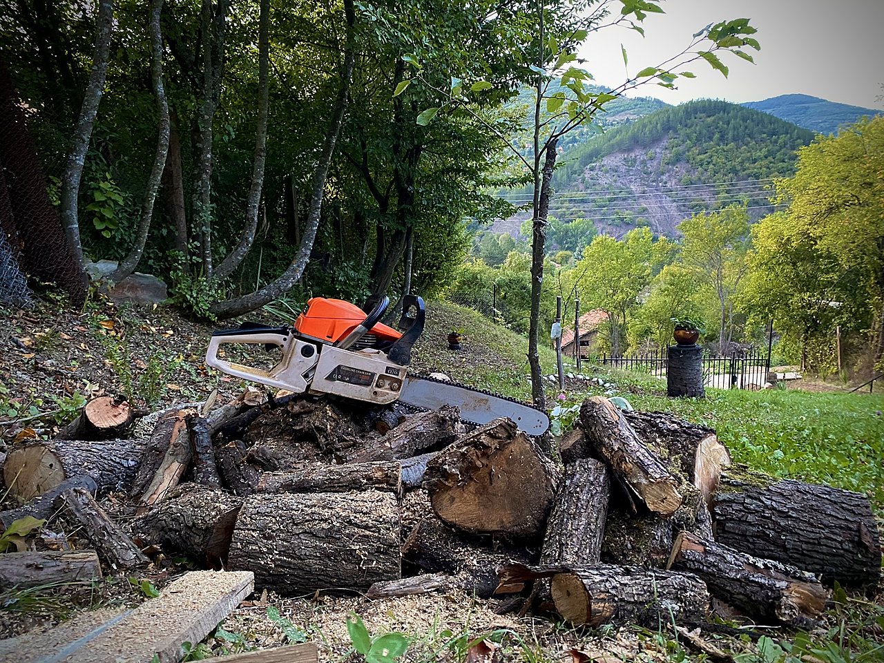 Натиснете снимката за да я уголемите

Име:IMG_9018.JPEG
Прегледи:798
Размер:1.47 МБ
ID:6895413