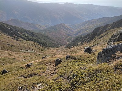 Натиснете снимката за да я уголемите

Име:IMG_20221022_145054.jpg
Прегледи:542
Размер:1.00 МБ
ID:6896356