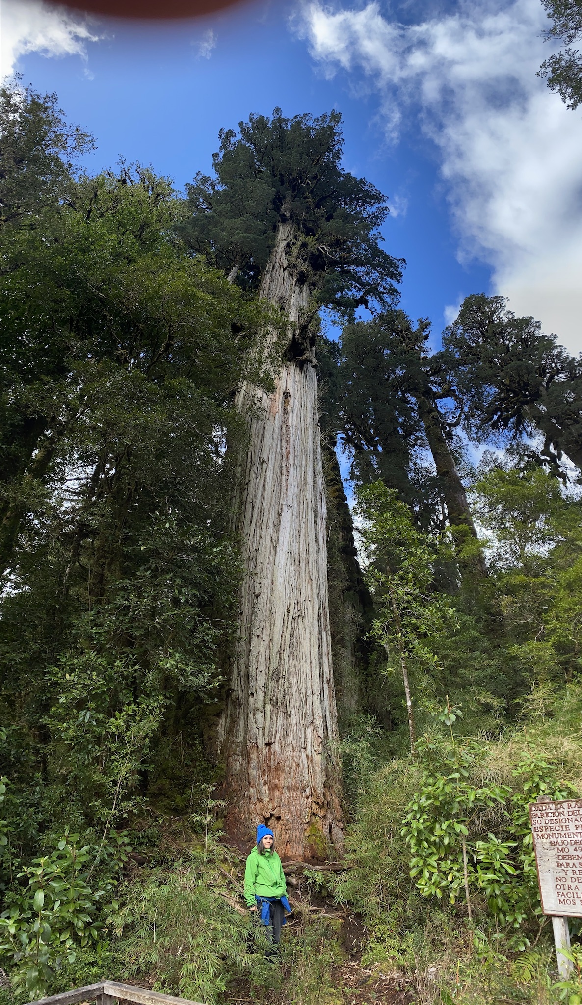 Натиснете снимката за да я уголемите

Име:IMG_7226.jpeg
Прегледи:1251
Размер:1.27 МБ
ID:6896699