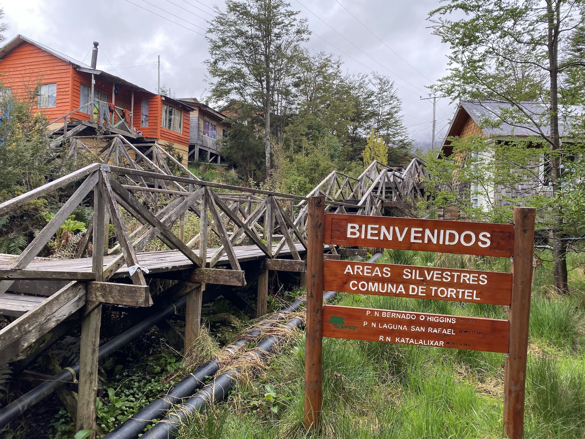 Натиснете снимката за да я уголемите

Име:IMG_7455.jpeg
Прегледи:1217
Размер:1.64 МБ
ID:6896716