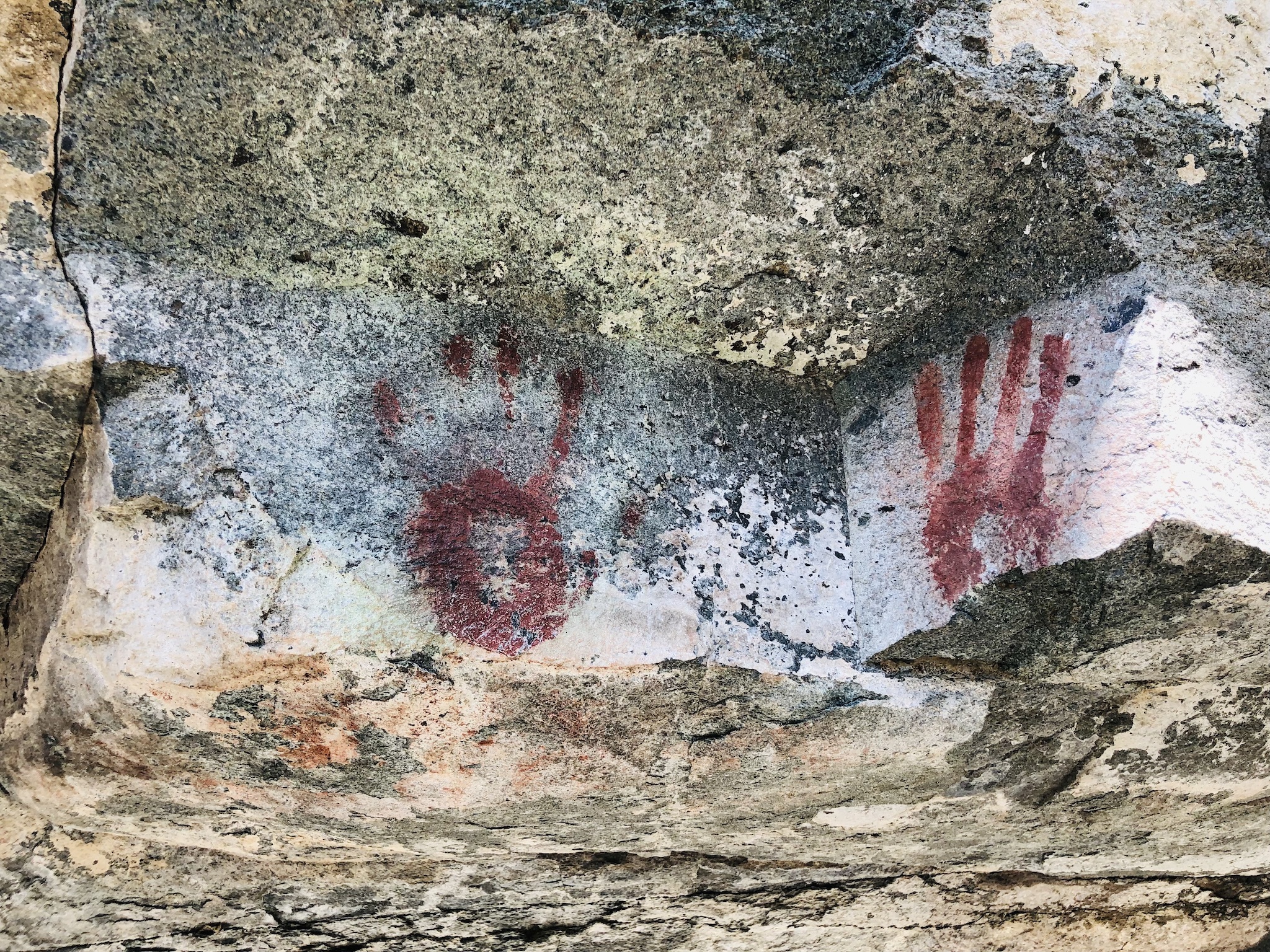 Натиснете снимката за да я уголемите

Име:IMG_1115.jpeg
Прегледи:1251
Размер:1.95 МБ
ID:6896719