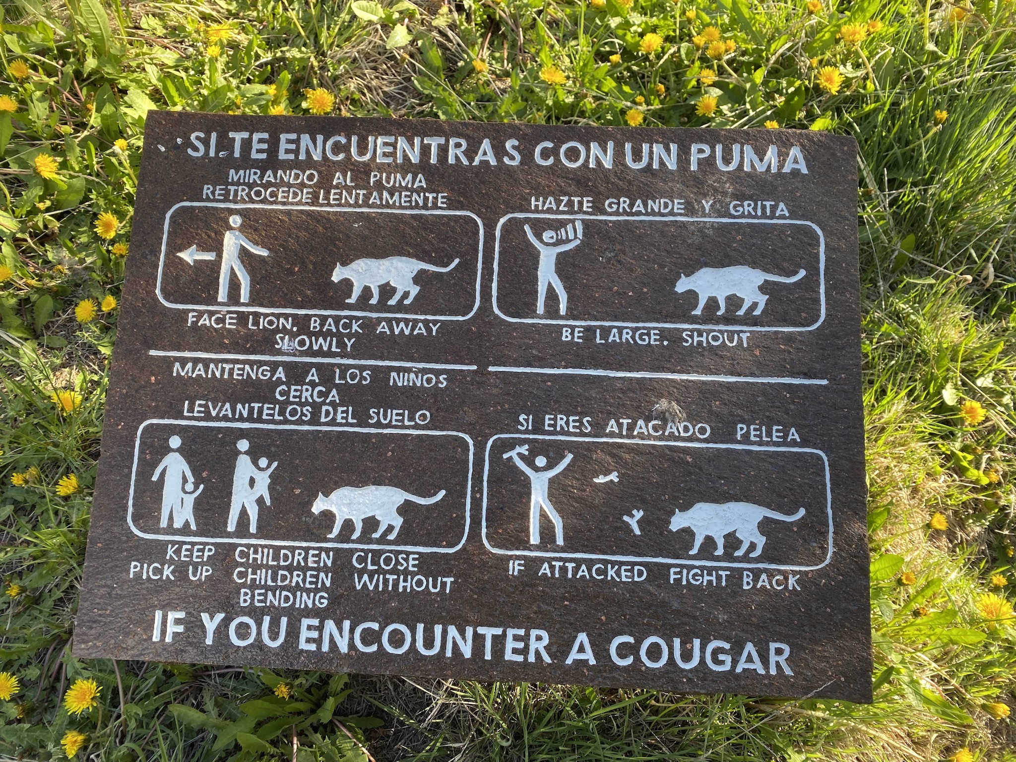 Натиснете снимката за да я уголемите

Име:IMG_7580.jpeg
Прегледи:2863
Размер:1.58 МБ
ID:6900500