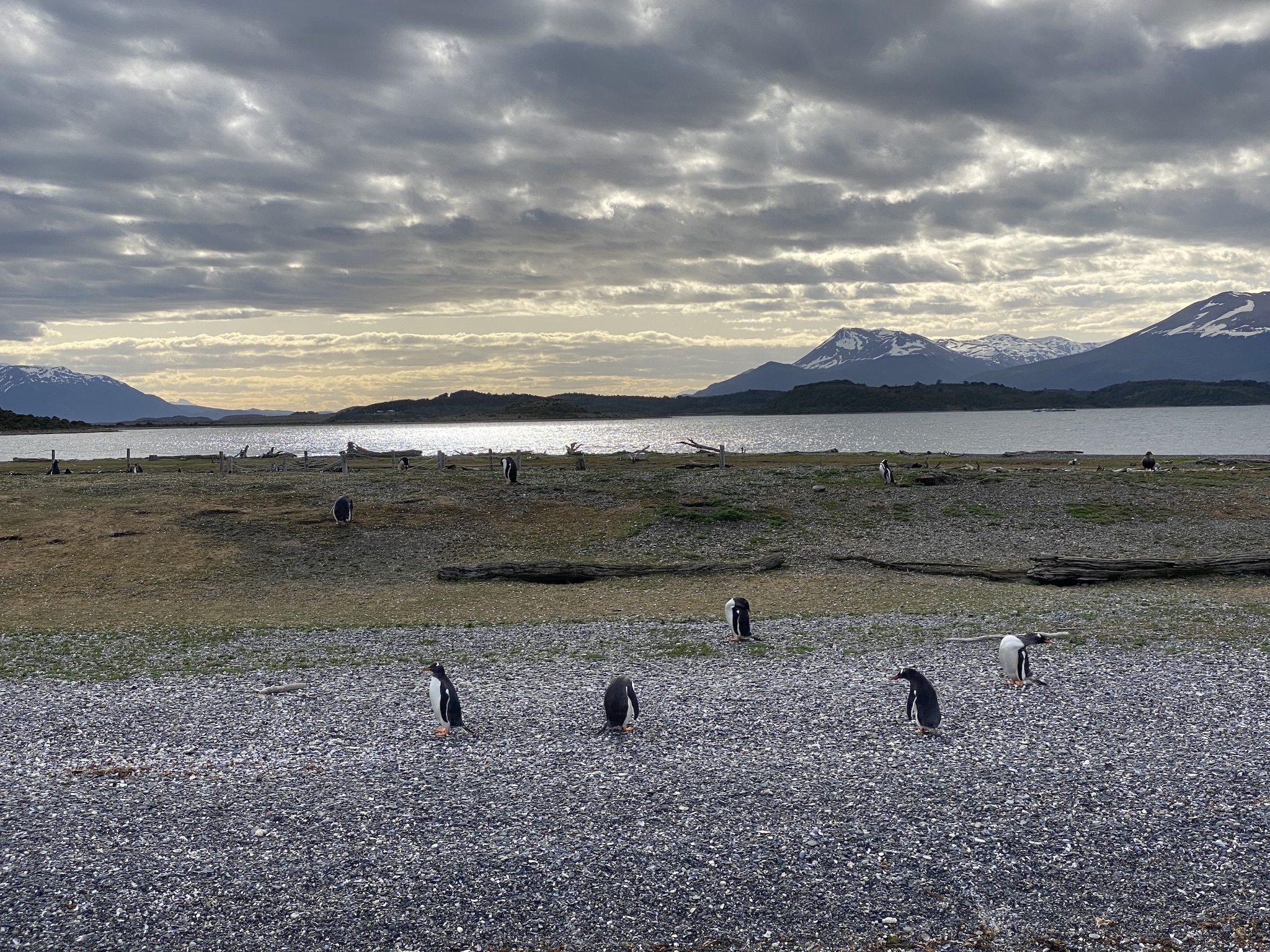 Натиснете снимката за да я уголемите

Име:IMG_7911.jpeg
Прегледи:2770
Размер:1.48 МБ
ID:6900516