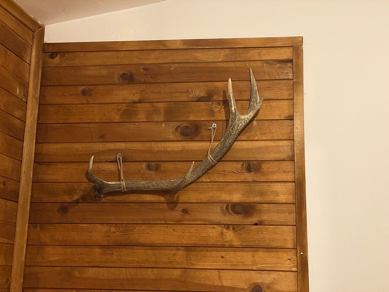 Натиснете снимката за да я уголемите

Име:IMG_9918.JPEG
Прегледи:432
Размер:637.3 КБ
ID:6902999