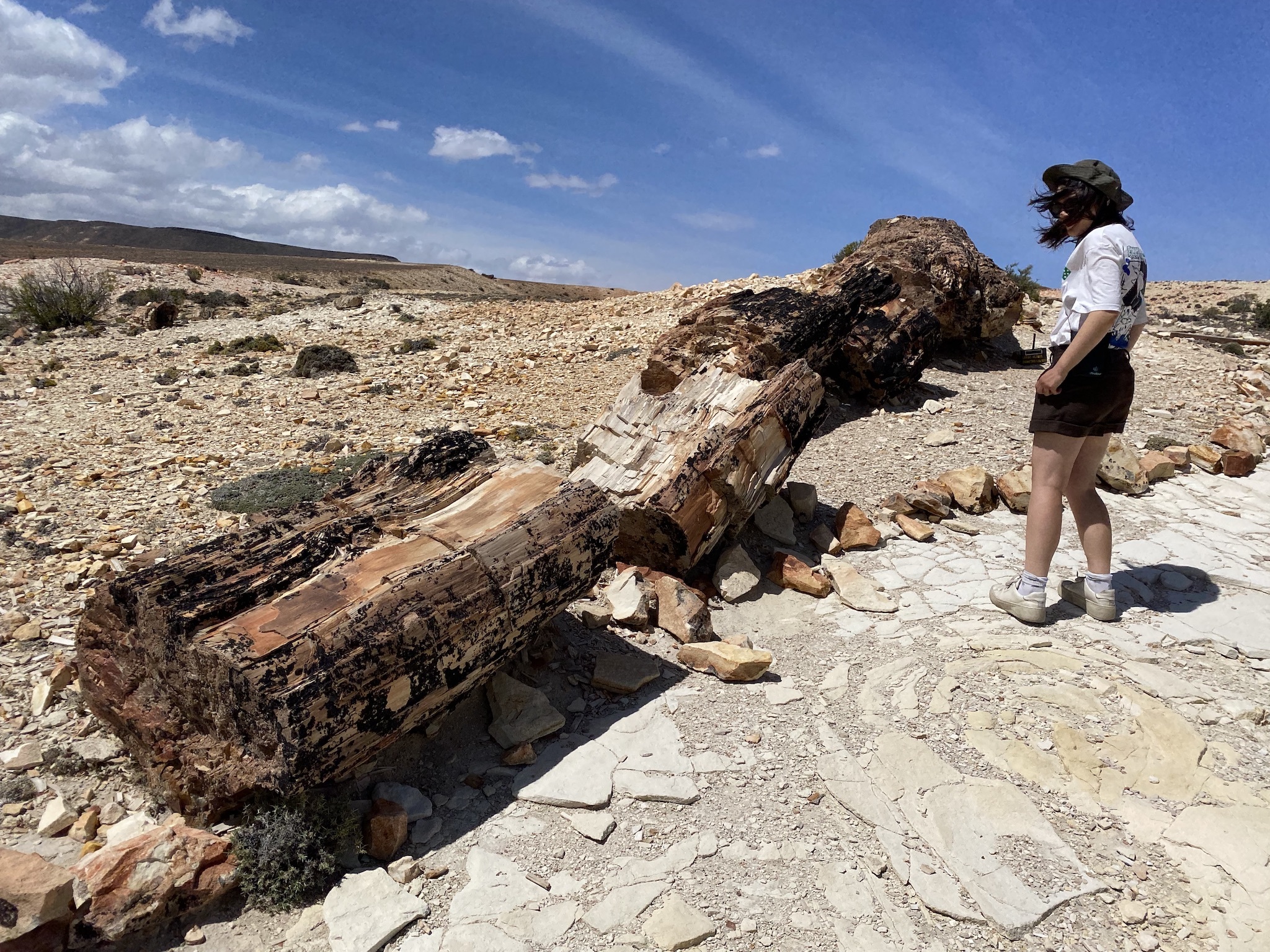 Натиснете снимката за да я уголемите

Име:IMG_8163.jpeg
Прегледи:2247
Размер:1.38 МБ
ID:6903244